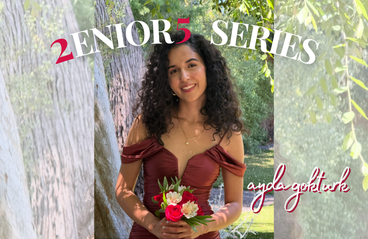 Ayda Gokturk '25 discusses her passions for computer science, art, and machine learning.
