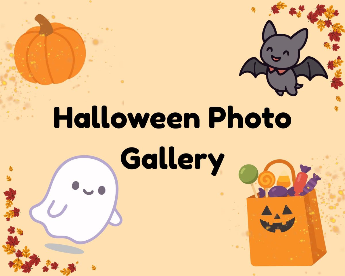 Photo Gallery: Halloween