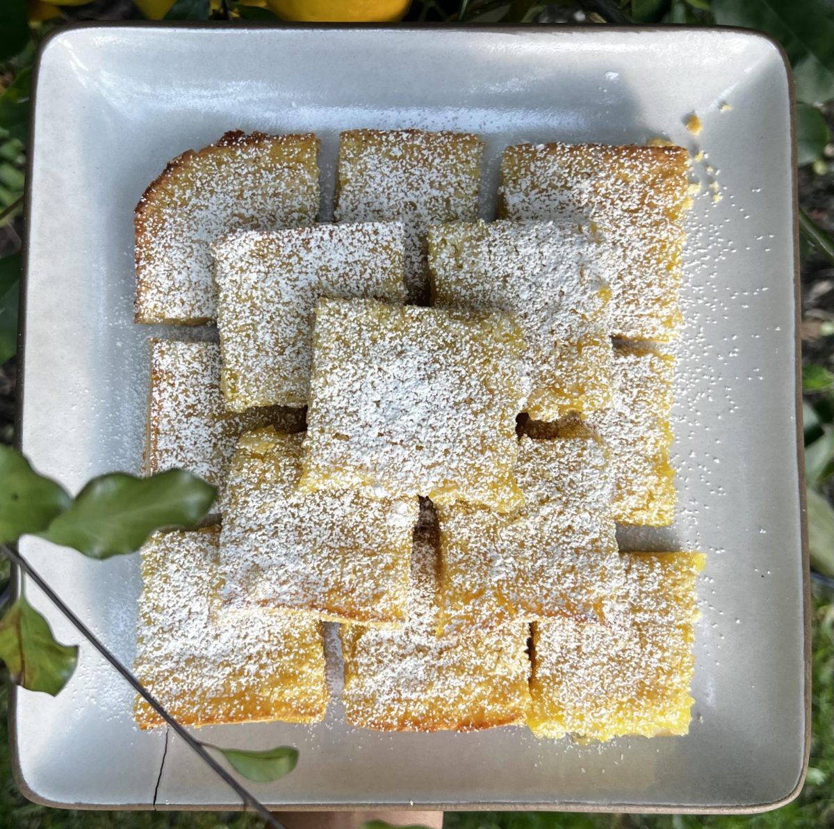 Freshly baked Meyer lemon bars
